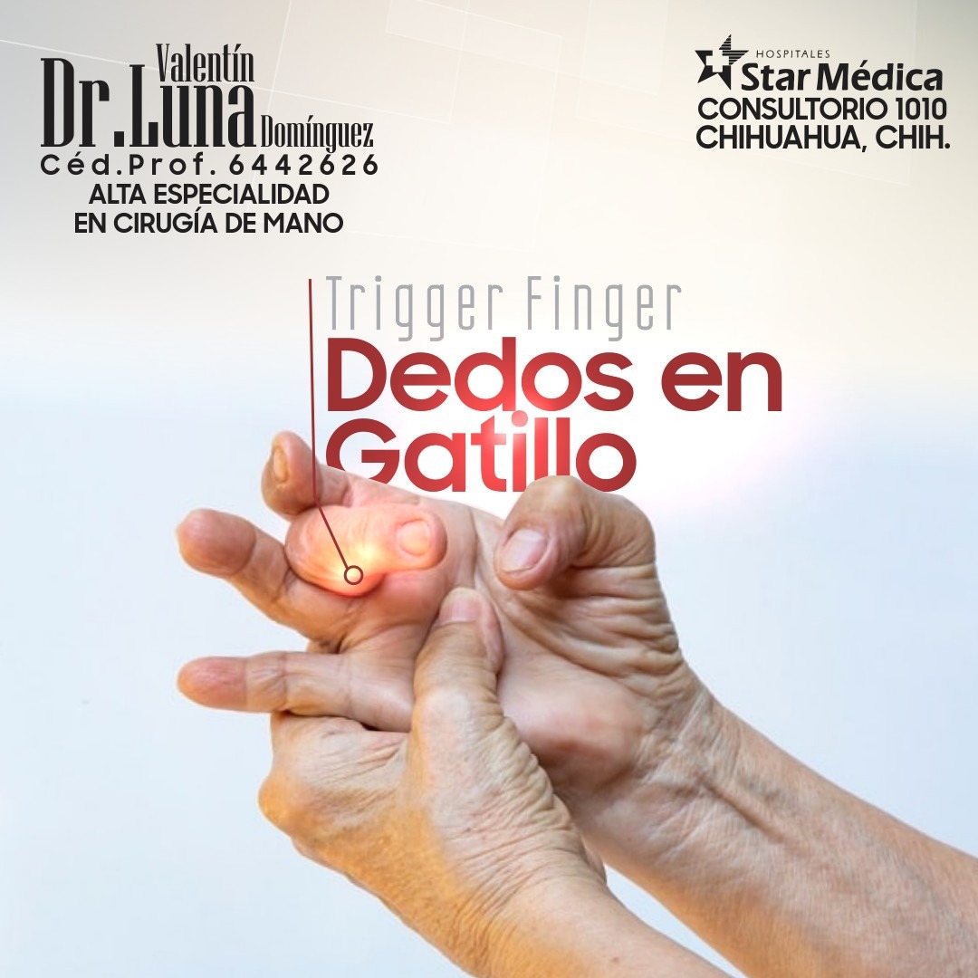 Servicio de cirugía de mano 2